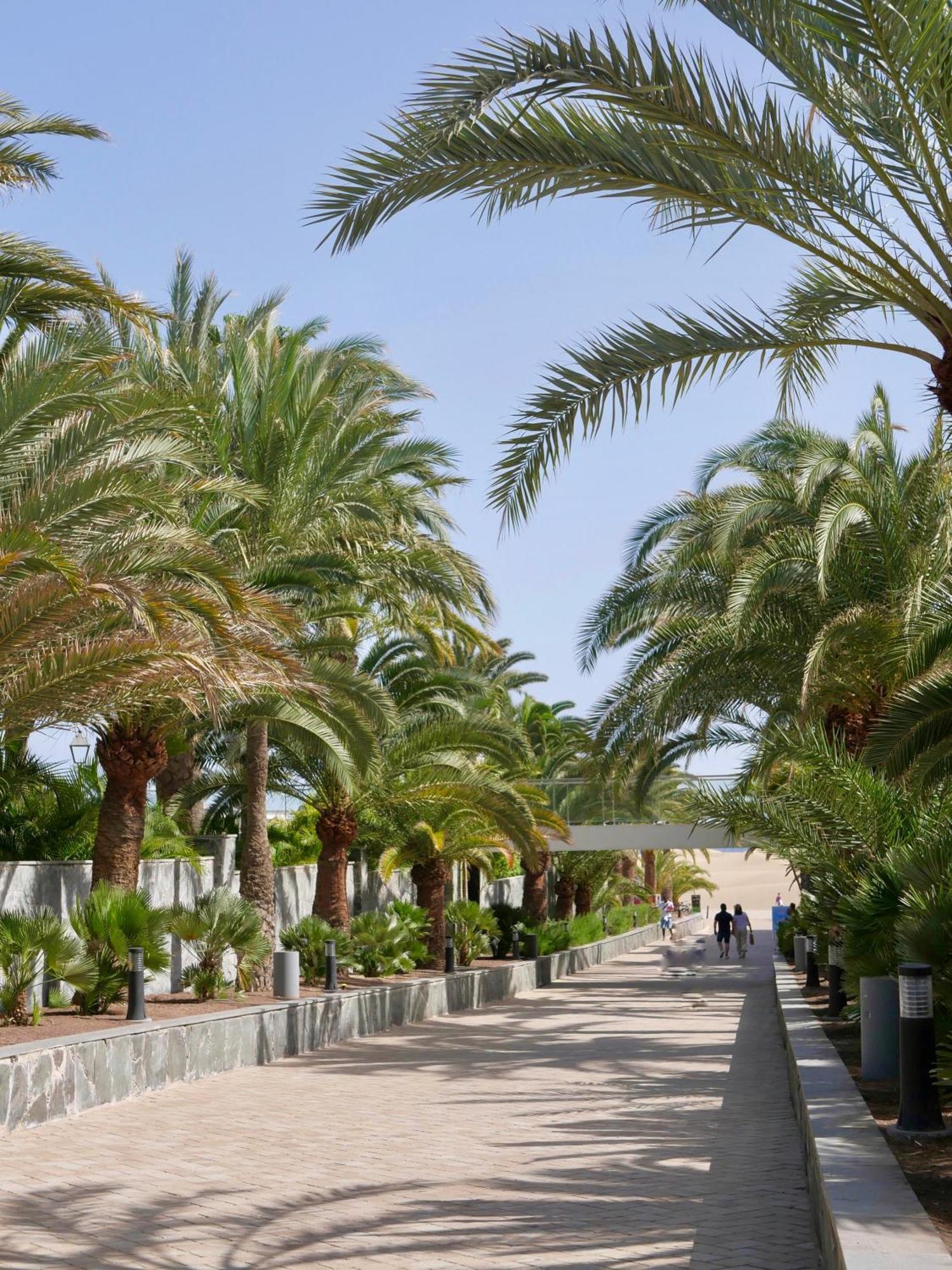 Moon Dunes Apartment - By Yumbo Center - Playa Del Ingles エクステリア 写真