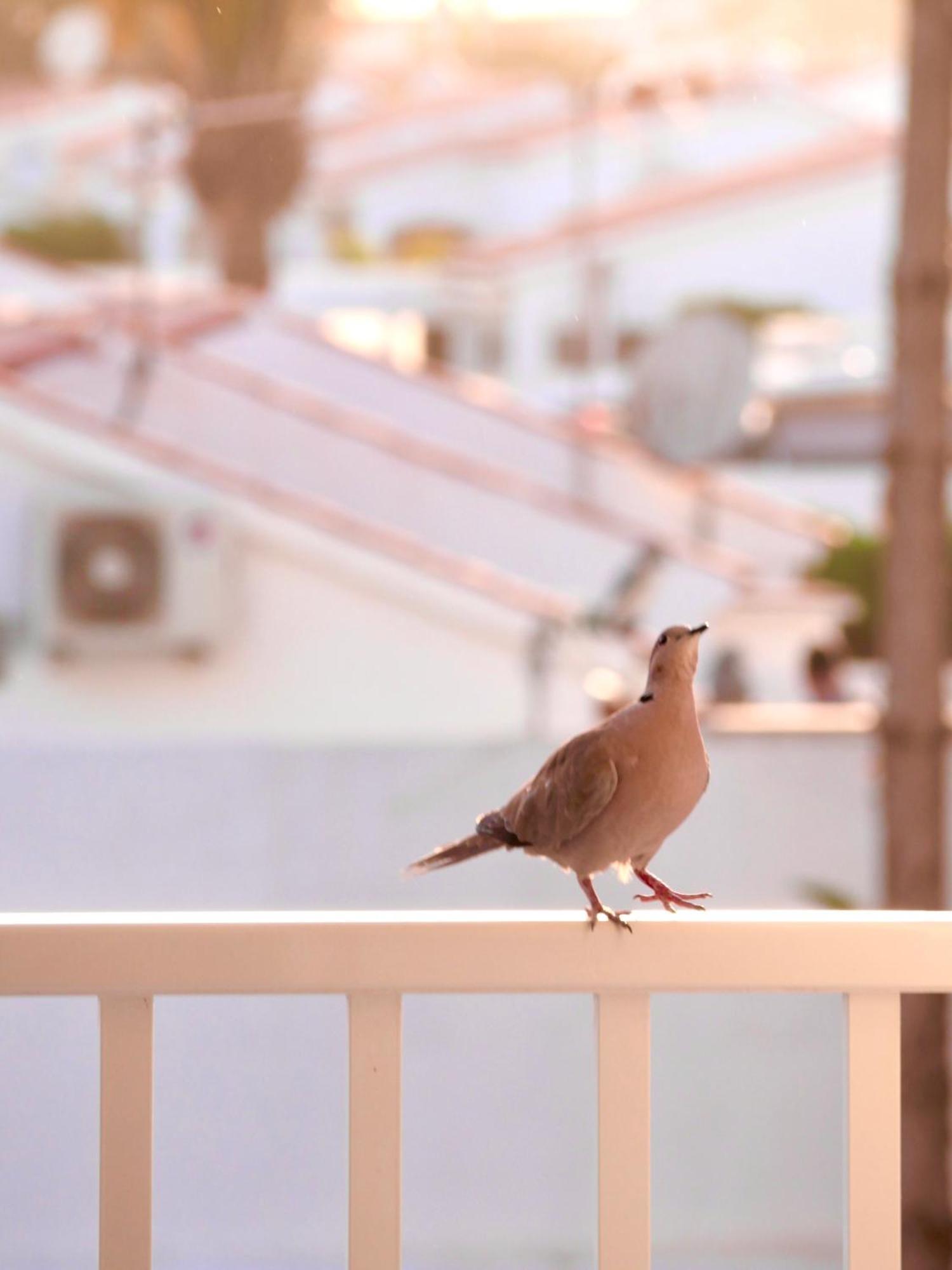 Moon Dunes Apartment - By Yumbo Center - Playa Del Ingles エクステリア 写真